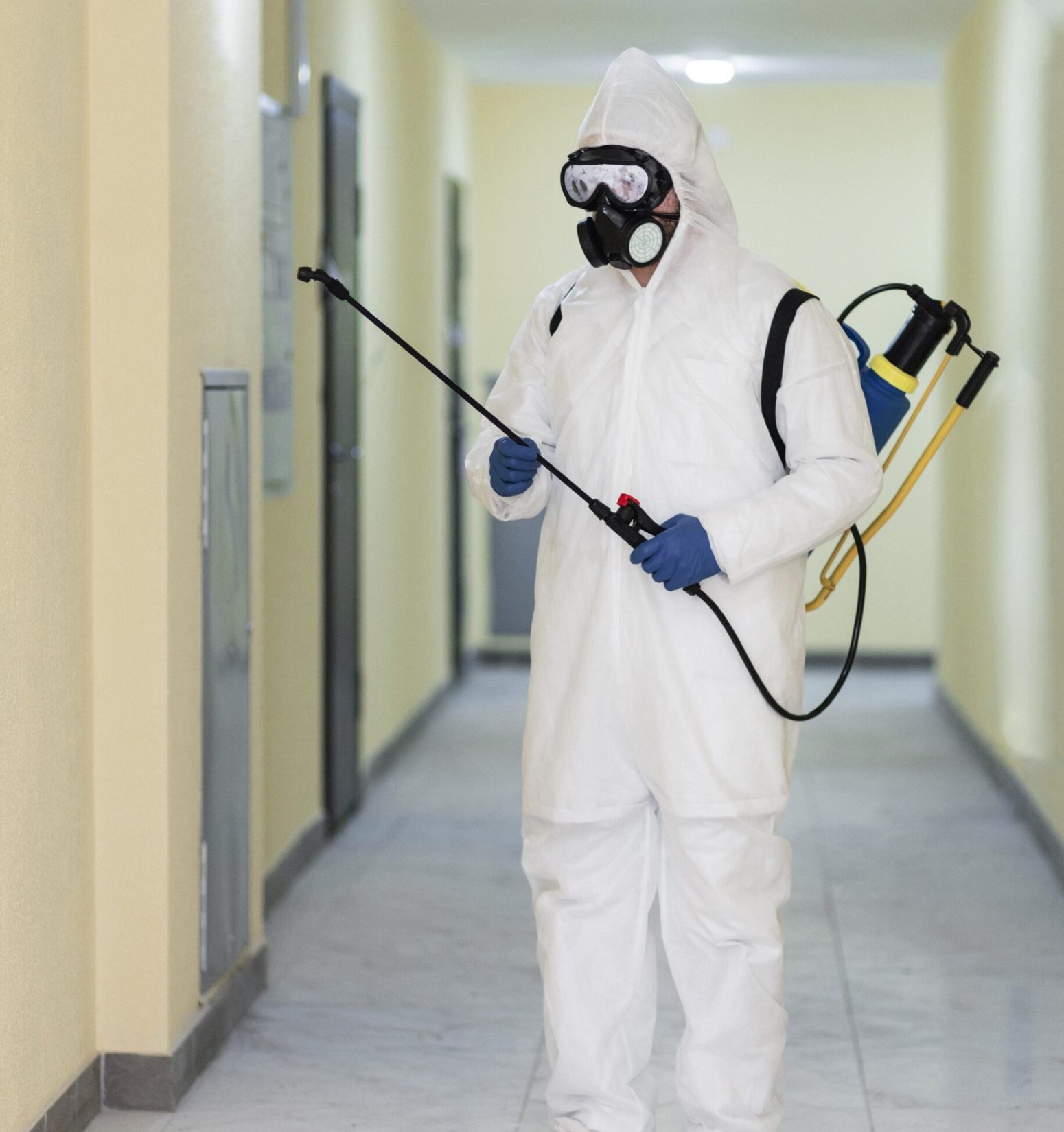 Pest Control Services in Park Street